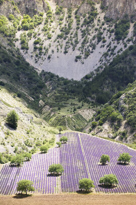 Un petit air de Provence…au Pays des Baronnies (itinéraire n°12)