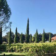 © Chambres d'hôtes Domaine des Lavarines - <em>@Cicadaconcept</em>
