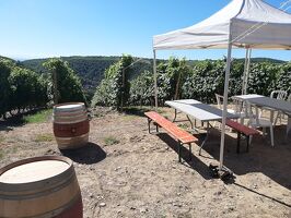 Brunch(di)vin au Domaine Pierre Gaillard