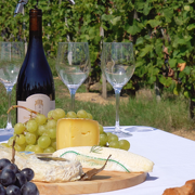 Découverte de la Vallée du Rhône septentrionale
