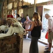 Découverte de la Vallée du Rhône septentrionale