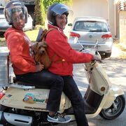 © scoot nomad balade en famille en scooter drome provençale - <em>scoot nomad</em>