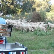 © scoot nomad balade en famille de ferme en ferme à scooter - <em>Nadine Tampon</em>