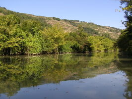 Vestiges d'une île