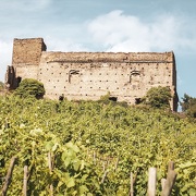 © Vignoble de Vitis Vienna - Seyssuel  Chasse-sur-Rhône et Vienne - <em>Vitis Vienna</em>