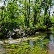 © Mathuzar cascade - <em>Palaval</em>