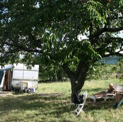 © Aire naturelle de camping les Cerisiers - <em>Loire</em>
