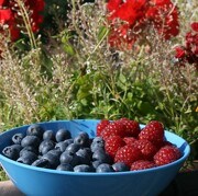 © Aire naturelle de camping les Cerisiers - <em>Loire</em>