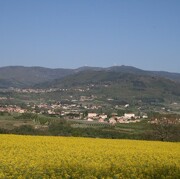 © Aire naturelle de camping les Cerisiers - <em>Loire</em>