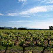 © Mas du clos de l'Escarrat : Montmirail - <em>Brunet</em>