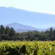 © Mas du clos de l'Escarrat : Mistral - <em>Brunet</em>