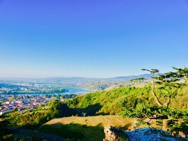 Excursion Côte-Rôtie Hermitage : La vallée du Rhône Nord avec Rhône Trip