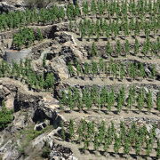 © Vignoble Côte-Rôtie - <em>DR Vino Passion</em>
