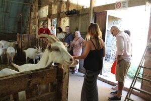 Excursion vins et fromages avec Rhône Trip