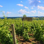 © Les Balades Gourmandes de Sandrine - <em>Benoit Collaudin</em>