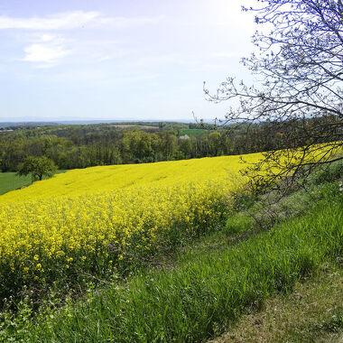 © Circuit du Bataillard - <em>©Daniel DURAND</em>