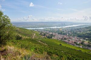 Wine Notes au Domaine Verzier
