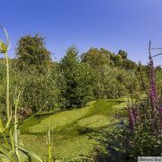 © Espace Naturel Sensible des prairies inondables de Pont-Évêque - <em>Bertrand Bodin/Département de l'Isère</em>