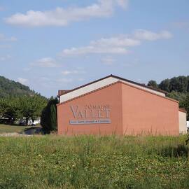 Brunch(di)vin au Domaine Vallet