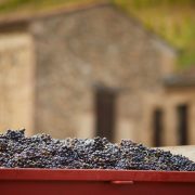 © Maison Delas frères - <em>S Chapuis</em>