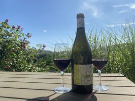 Brunch(di)vin au Domaine de Corps de Loup
