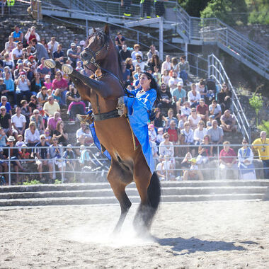 © Vienne Historique - <em>Daniel DURAND</em>