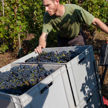 Domaine Xavier Gérard