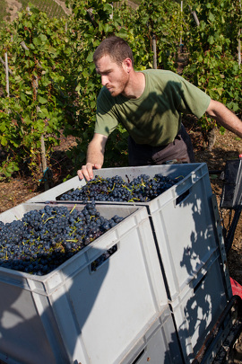 Domaine Xavier Gérard