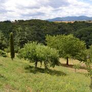 © Le Corbery - <em>Gîtes de France Rhône</em>