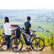 © Vélos Hermitage - <em>M. CHAPOUTIER</em>