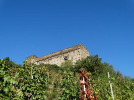 Château des Archevêques