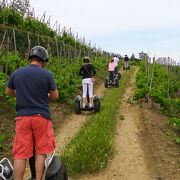 © Balade en gyropode sur Condrieu Côte-Rôtie - <em>Intuitive Trace</em>