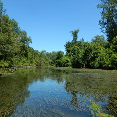 © Ile de la Chèvre - <em>Ile du Beurre</em>