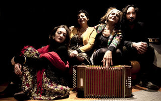 Les nocturnes Toutes les musiques de la Méditerranée sont dans le Rhône ! : concert  Assurd quartet