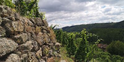 Visites et dégustations au Domaine Corps de Loup