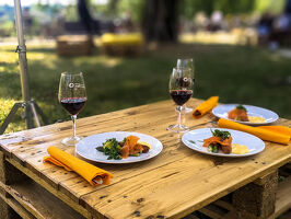 Un itinéraire gastronomique sur la ViaRhôna