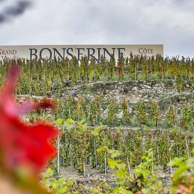 © La Côte Brune - <em>Domaine de Bonserine</em>