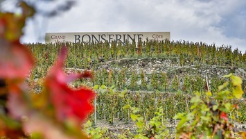 Domaine de Bonserine