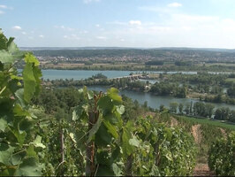 Wine Notes au Domaine Anthony Paret
