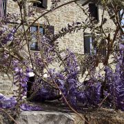 © la maison WISTERIA - <em>Muriel Pellegrin</em>