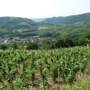 © Rando Wine au Domaine François Grenier - <em>Alexandre Diaz</em>