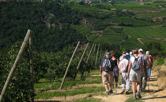 Rando Wine au Domaine Clusel-Roch