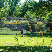 © Loupy Park - Parc de loisirs extérieur - <em>Loupy Park DR</em>