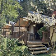 © Cabanes et cyclo tente - <em>Camping Iserand</em>