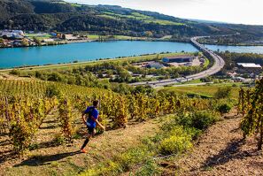 Trail en Côte-Rôtie