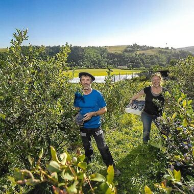 © La ferme des grands bois - <em>DR</em>