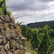 © Visites et dégustations au Domaine Corps de Loup - <em>DR</em>