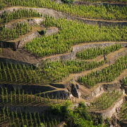 Séjour 2 jours - Découverte des Vignobles