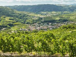 Apéro jazz du Fascinant Week-end au Domaine Grenier