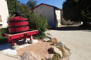 Gîtes de Beauregard : La Glycine